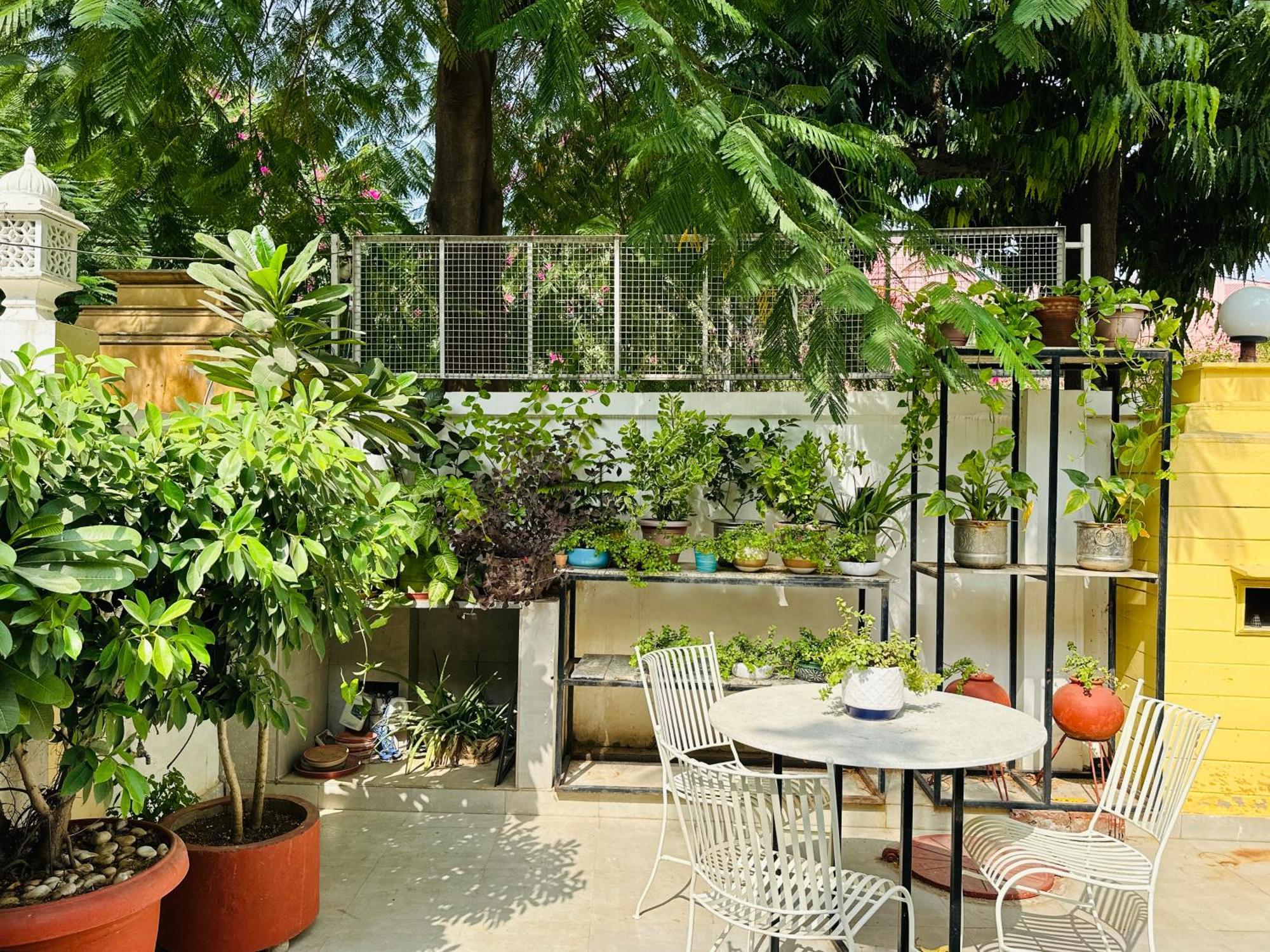 Anandmai - Sustainable Living Spaces Dzsaipur Kültér fotó